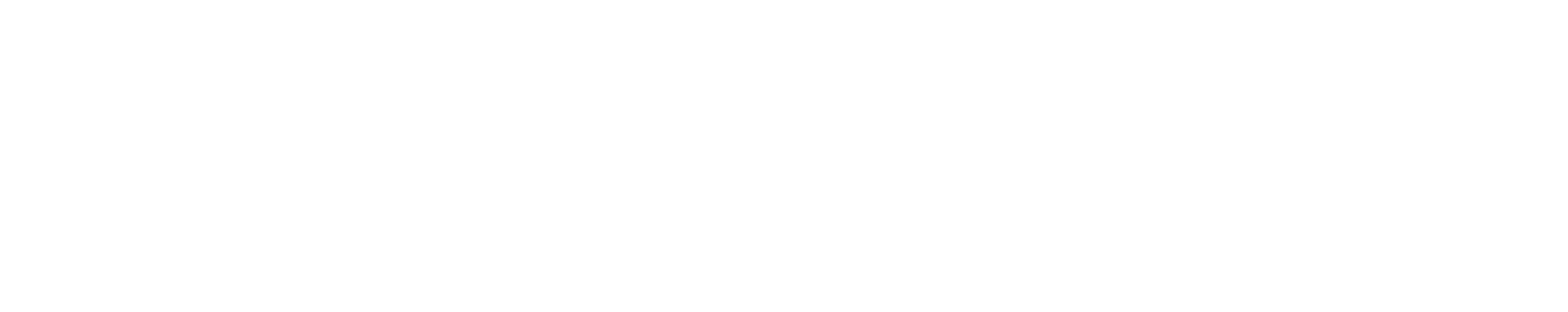 DJ Pyru Logo
